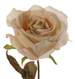 Rosa Calista, 1 flor (Ø 11cm, a.7cm), 2 sets de hojas (10 hojas), 66cm