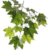 Esdoorn bladtak (Acer pseudoplatanus),5 vertakkingen, 23 bladeren, bruine steel, brandvertragend, 80cm
