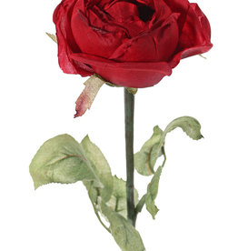 Rosa Diana, Ø 8cm, con 7 hojas, 36cm