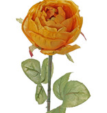 Rose Diana, Ø 8cm, mit 7 Blättern, 36cm