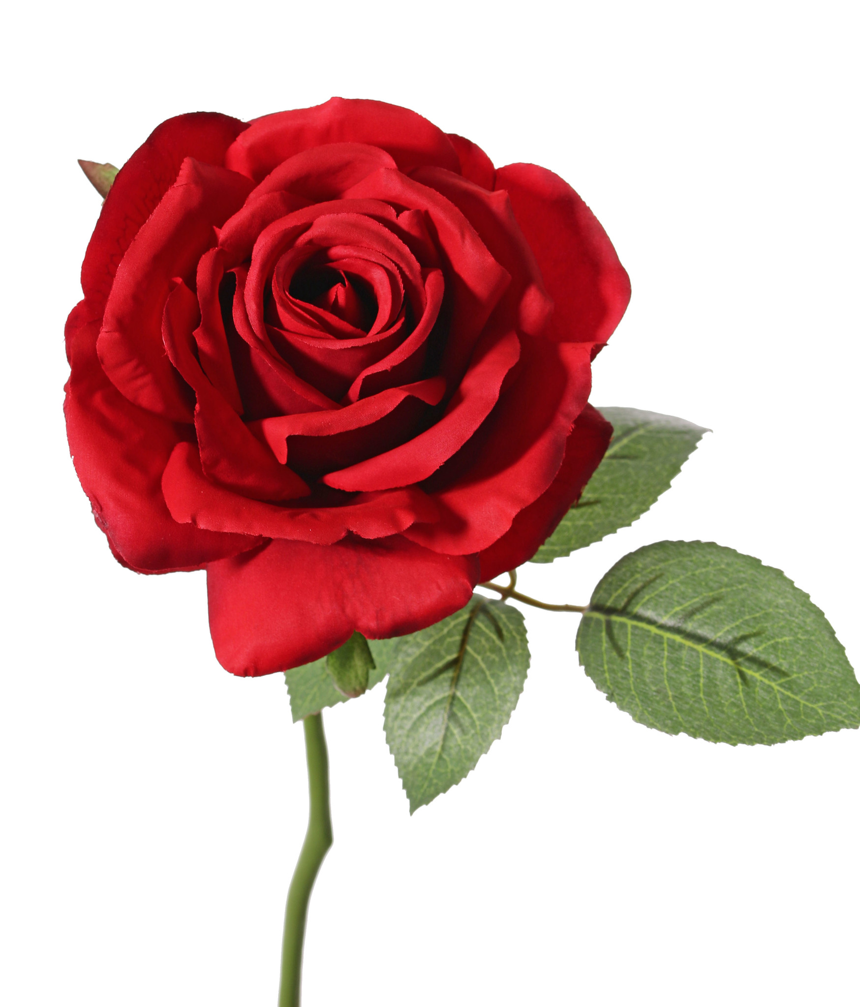 Rose de luxe "Fleuri", Ø 12cm, 5 Blätter, 30cm