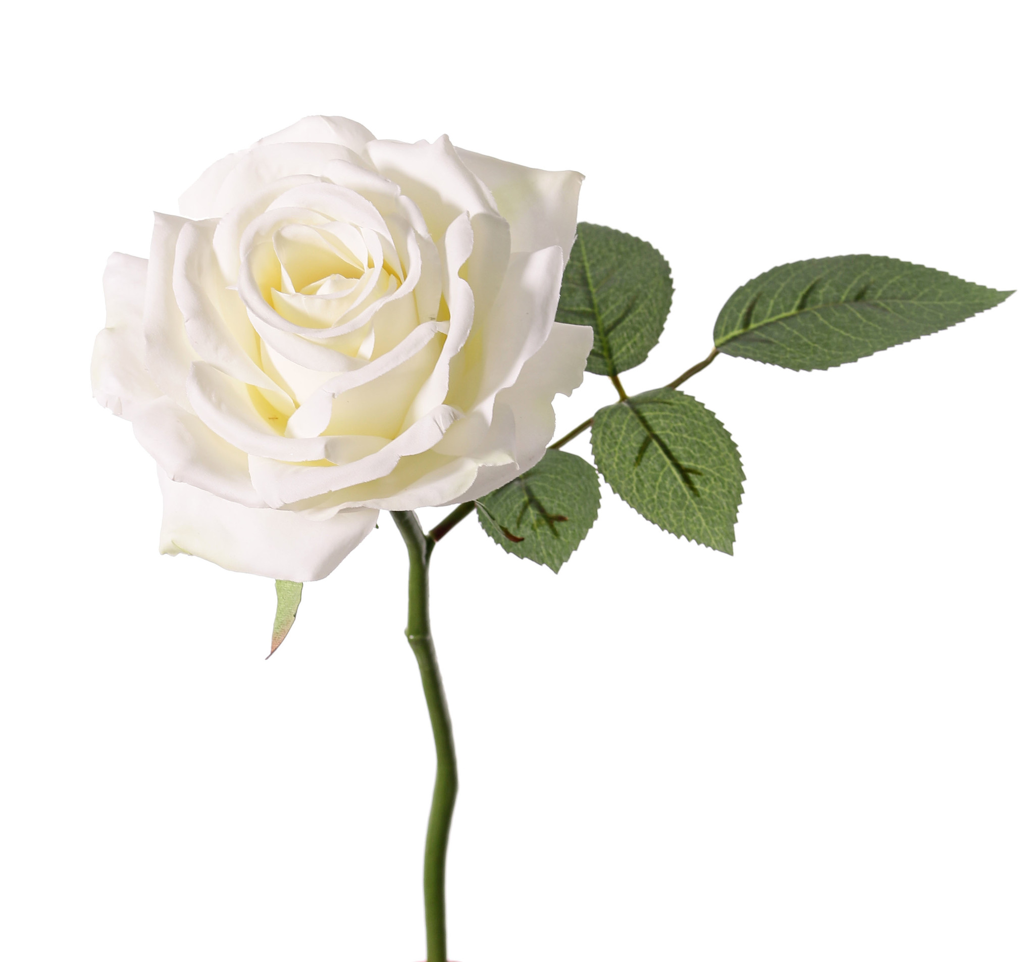 Rosa de luxe "Fleuri", Ø 12cm, 5 hojas, 30cm