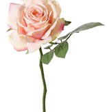 Rose de luxe "Fleuri", Ø 12cm, 5 Blätter, 30cm