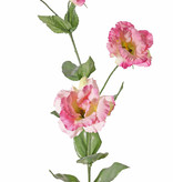 Lisianthus, Eustoma "de Luxe" 3 flores, 1 capullo,  10 hojas 81cm