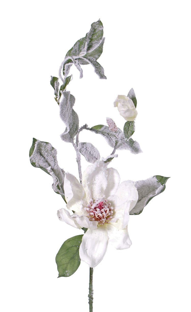 Magnolia, 2 bloemen, 16 bladeren, met sneeuw, 81cm, Ø 15 cm - ACTIE