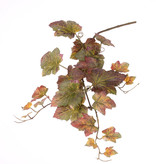 Grape branch, x3, x22lvs, 72cm