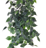 Philodendron giant hanger, 'Vital greens' 19 vertakkingen, met 294 blad, 91 cm, brandvertragend