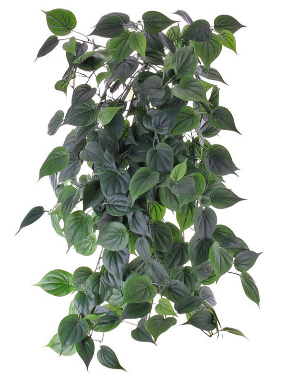 Philodendron giant hanger,294 hojas, "Vital Greens", 91cm - resistente al fuego