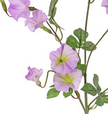 Winde (Convolvulus) x4, 15 bloemen (10 lg /5 sm) & 14 blad, 63 cm