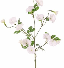 Winde (Convolvulus) x4, 15 bloemen (10 lg /5 sm) & 14 blad, 63 cm