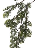 Tannenzweig (Abies) 6 Verzweigungen, platte Nadeln, 83cm