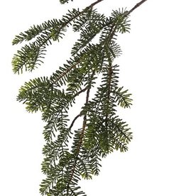 Pine spray (Abies) x6, flat needles, 83cm