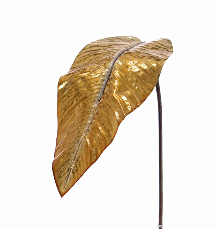 Canna indica blad (Indisch bloemriet) 'Classico', Ø 47 x 20cm, 98cm