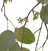 Eucalyptus leaf hanging branch x2, 62 leaves & 52 fruits, 122cm