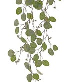 Eucalyptus-Blattzweig, hängend, 2 Verzweigungen, 45 Blätter & 13 Früchte, 145cm