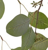 Eucalyptus leaf hanging branch x2, 62 leaves & 52 fruits, 122cm