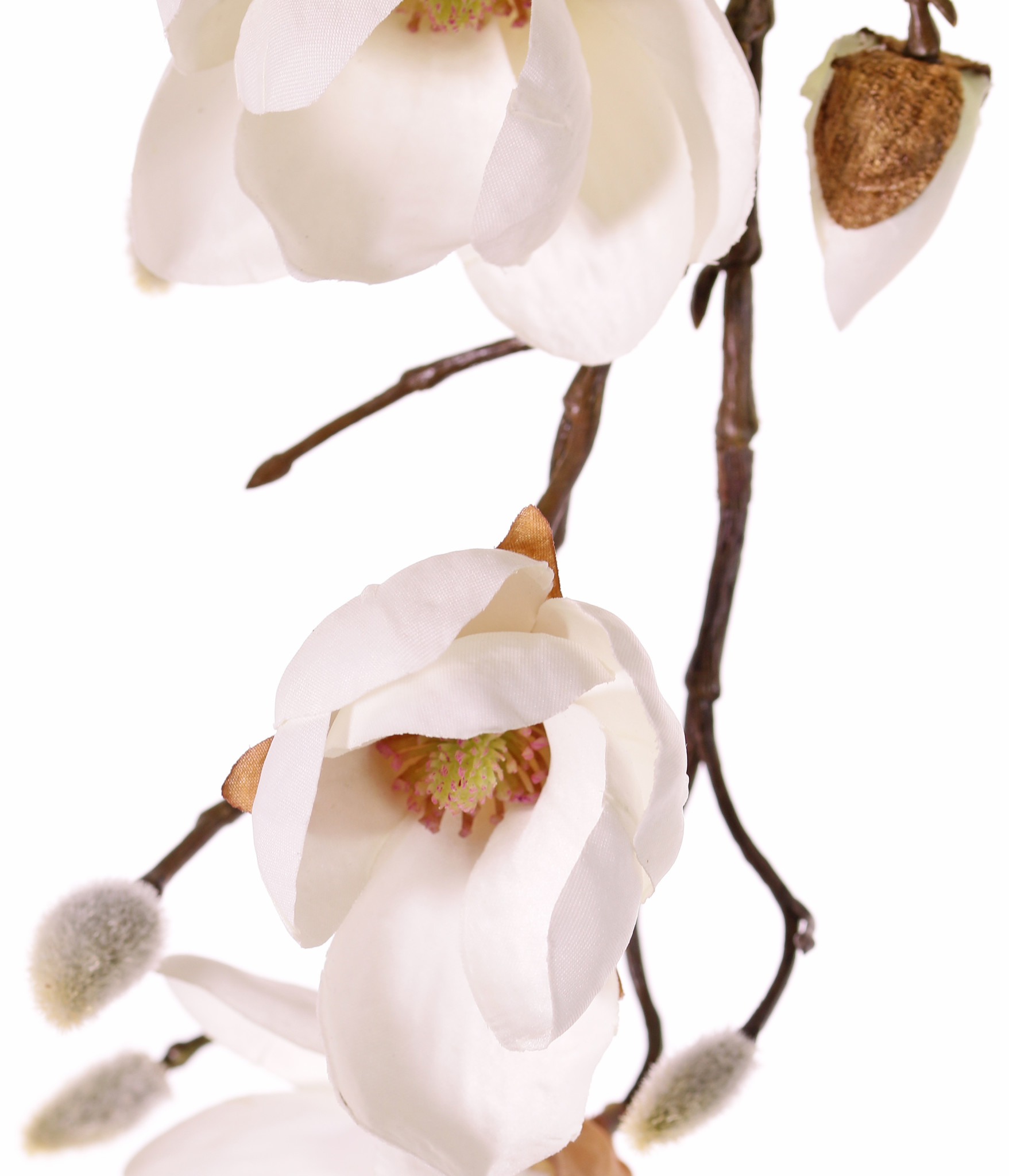 Rama de magnolia, 7 flores, 5 grande & 15 capullos pequeno, 115 cm
