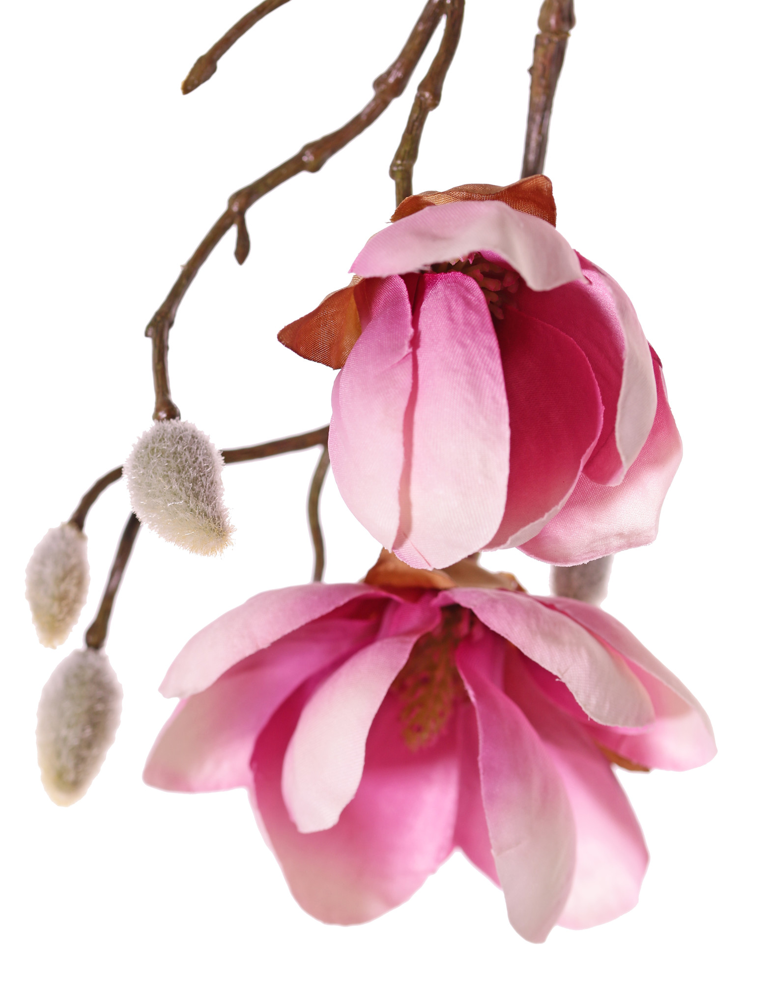 Magnolia hanger maxi met 4 vertakkingen, 7 bloemen, 5 grote & 15 kleine knoppen, 115 cm