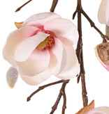 Magnolia maxi, 7 flowers, 5 big & 15 small buds, 115 cm