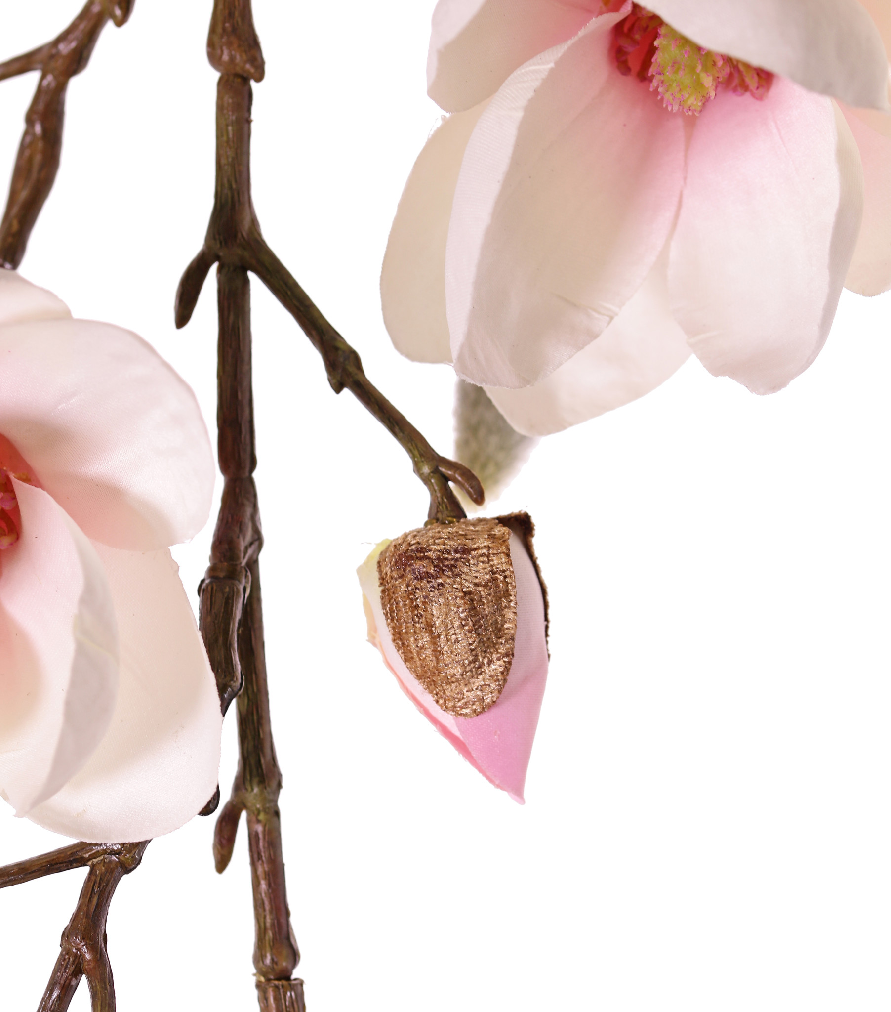 Magnolia maxi, 7 flowers, 5 big & 15 small buds, 115 cm