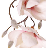 Magnolia hanger maxi met 4 vertakkingen, 7 bloemen, 5 grote & 15 kleine knoppen, 115 cm