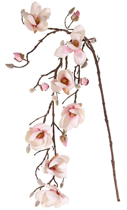 Magnolienzweig, hängend, maxi, 4 Verzweigungen, 7 Blumen u. 5 große u. 15 kleine Knospen, 115 cm