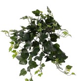 Hedera Efeu Gala, 13 Verzweigungen, 133 Blätter, 48 cm, UV-sicher
