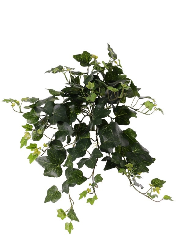 Hiedra Gala, 133 hojas, 48cm, UV resistente