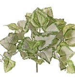 Lamium maculatum 'Beacon Silver' (Gevlekte dovenetel) x7, 35 blad, Ø 34 cm, H. 25 cm