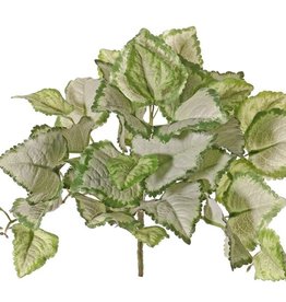 Gefleckte Taubnessel (Lamium maculatum,  'Beacon Silver')  mit 7 Verzweigungen, 35 Blätter, Ø 34 cm, H. 25 cm