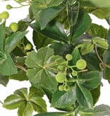 Jungfernrebenbusch, Wilder Wein, Zaunreben (Parthenocissus), ) 9 Verzweigungen, 30 Blätter & 6 Beerenbündel, Ø 35 cm