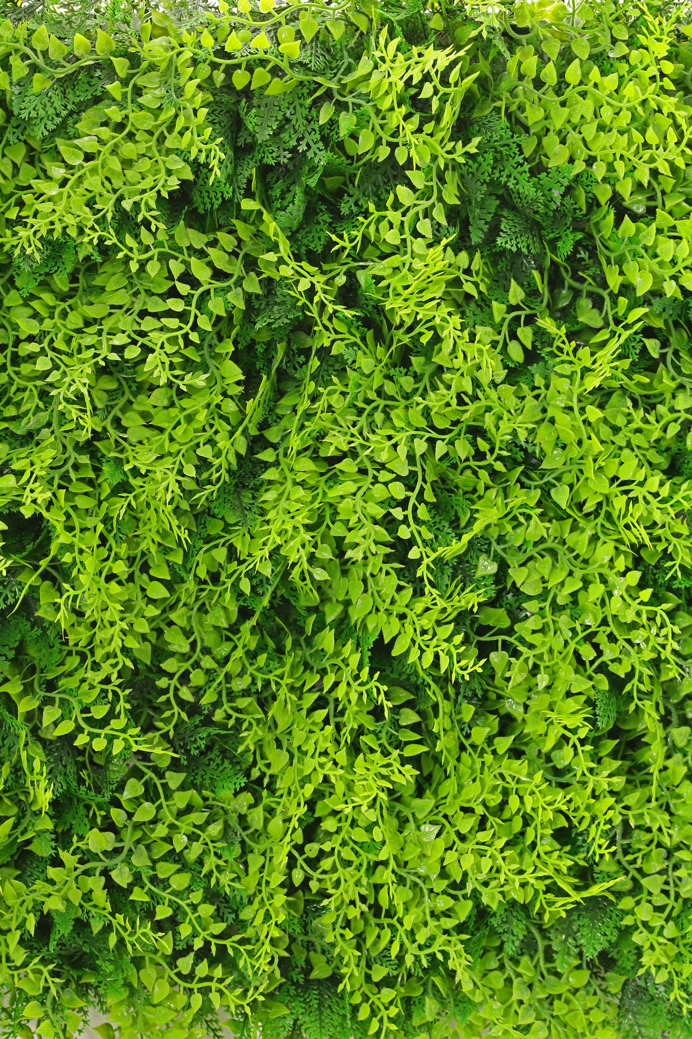 Artificial green wall element "Basic", 50 x 50 x 8 cm, PE, UV safe