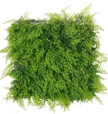 Artificial green wall element "Basic", 50 x 50 x 8 cm, PE, UV safe