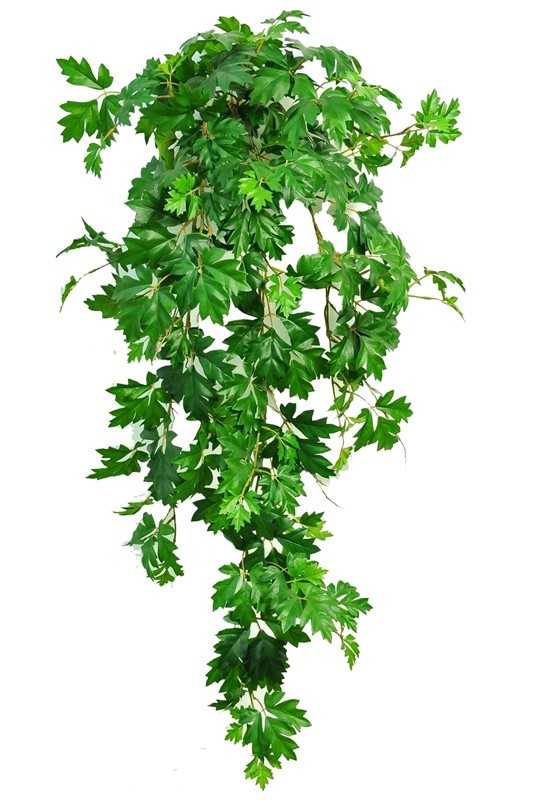 Cissus rhombifolia planta, 387 hojas, resistente de rayos UV, 110 cm