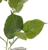 Ficus religiosa, 15 hojas, 10 bayas de plastico, 78 cm