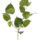 Ficus religiosa (Bodhiboom), 15 leaves & 10 plastic berries, 78 cm