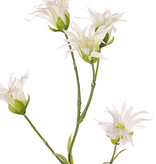 Dianthus (Japanse) met 5 bloemen & 14 blad, 65 cm