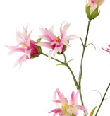 Dianthus (Japanse) met 5 bloemen & 14 blad, 65 cm