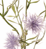 Loggerheads, basketflowers, centory, startthistles, (Centaurea), 15 flowers, 17 buds, 10 leaves, flocked, 80 cm