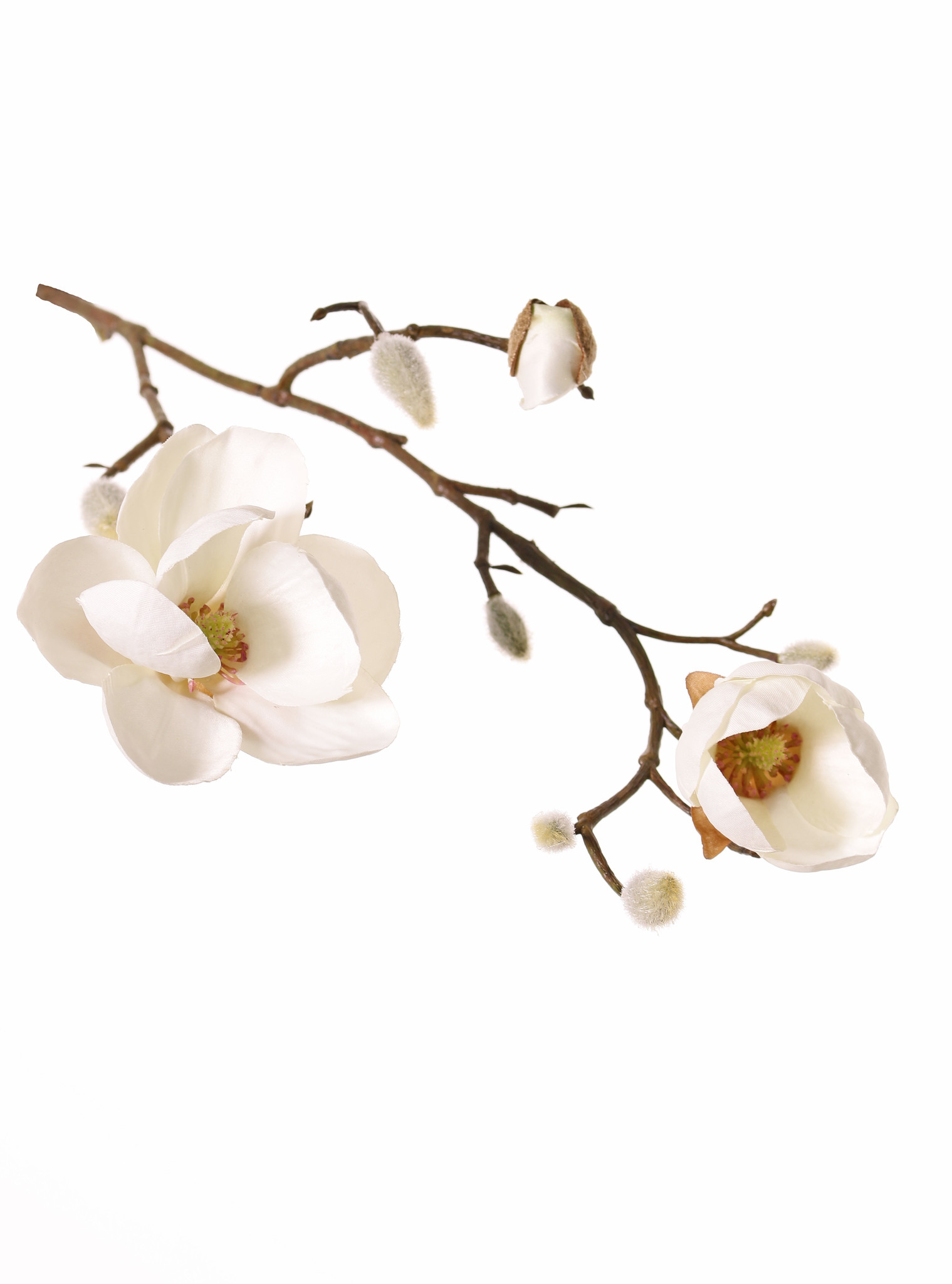 Magnolien-Zweig mit 3 Verzweigungen, 2 Blumen, (Ø 8 & 5 cm), 8 Knospen, 53 cm