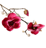 Magnolien-Zweig mit 3 Verzweigungen, 2 Blumen, (Ø 8 & 5 cm), 8 Knospen, 53 cm