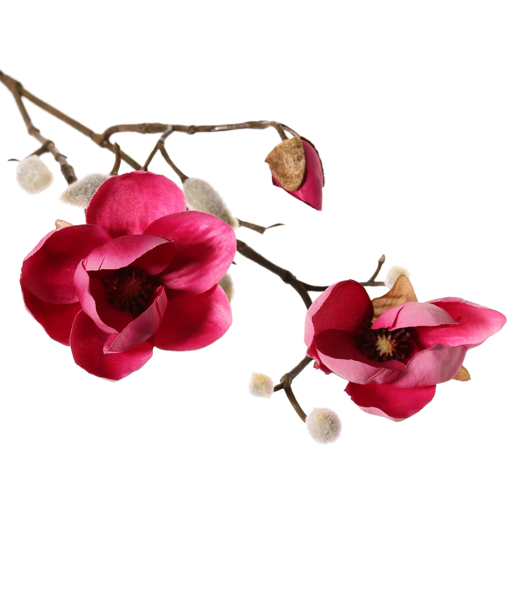 Magnolien-Zweig mit 3 Verzweigungen, 2 Blumen, (Ø 8 & 5 cm), 8 Knospen, 53 cm