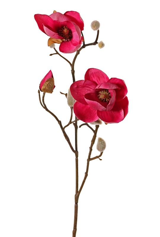 Magnolien-Zweig mit 3 Verzweigungen, 2 Blumen, (Ø 8 & 5 cm), 8 Knospen, 53 cm