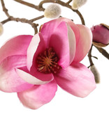 Magnolien-Zweig mit 3 Verzweigungen, 2 Blumen, (Ø 8 & 5 cm), 8 Knospen, 53 cm