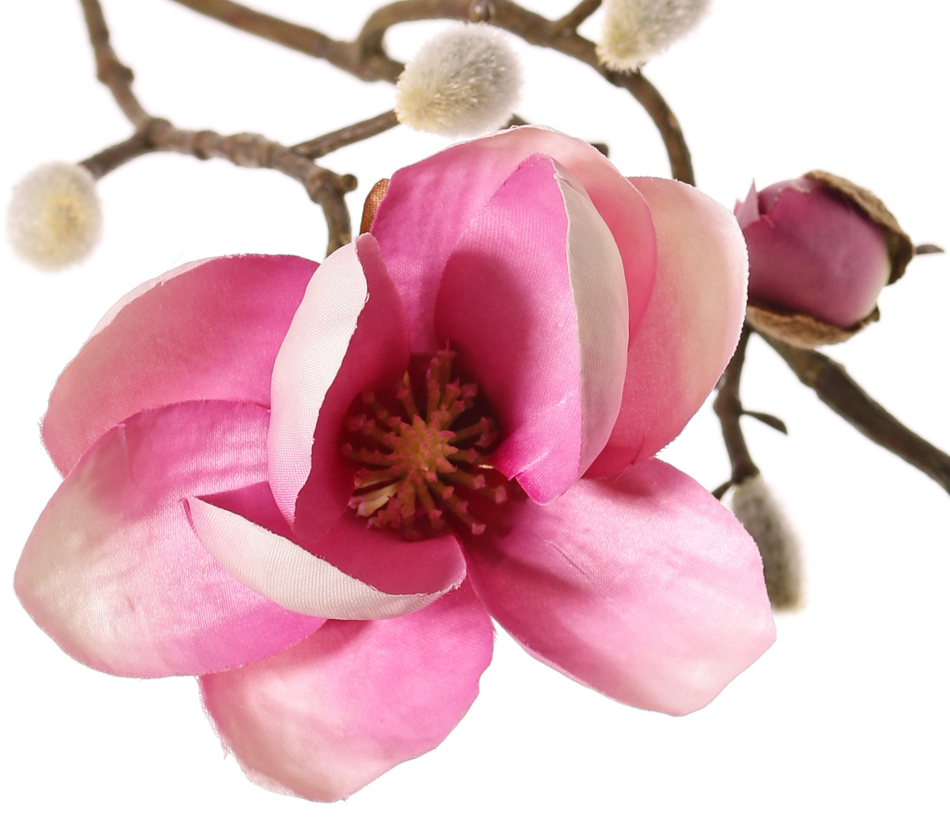 Magnolia, 2 flores, (Ø 8 & 5 cm), 8 capullos, 53 cm