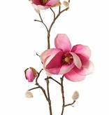 Magnolien-Zweig mit 3 Verzweigungen, 2 Blumen, (Ø 8 & 5 cm), 8 Knospen, 53 cm