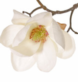 Magnolia, 5 flowers (3x Ø 8cm, 2x 5 cm) & 12 buds, 80 cm