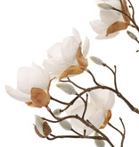 Magnolien-Zweig mit 4 Verzweigungen, 5 Blumen (3x Ø 8cm, 2x 5 cm) & 12 Knospen, 80 cm