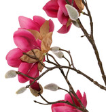 Magnolia, 5 flowers (3x Ø 8cm, 2x 5 cm) & 12 buds, 80 cm