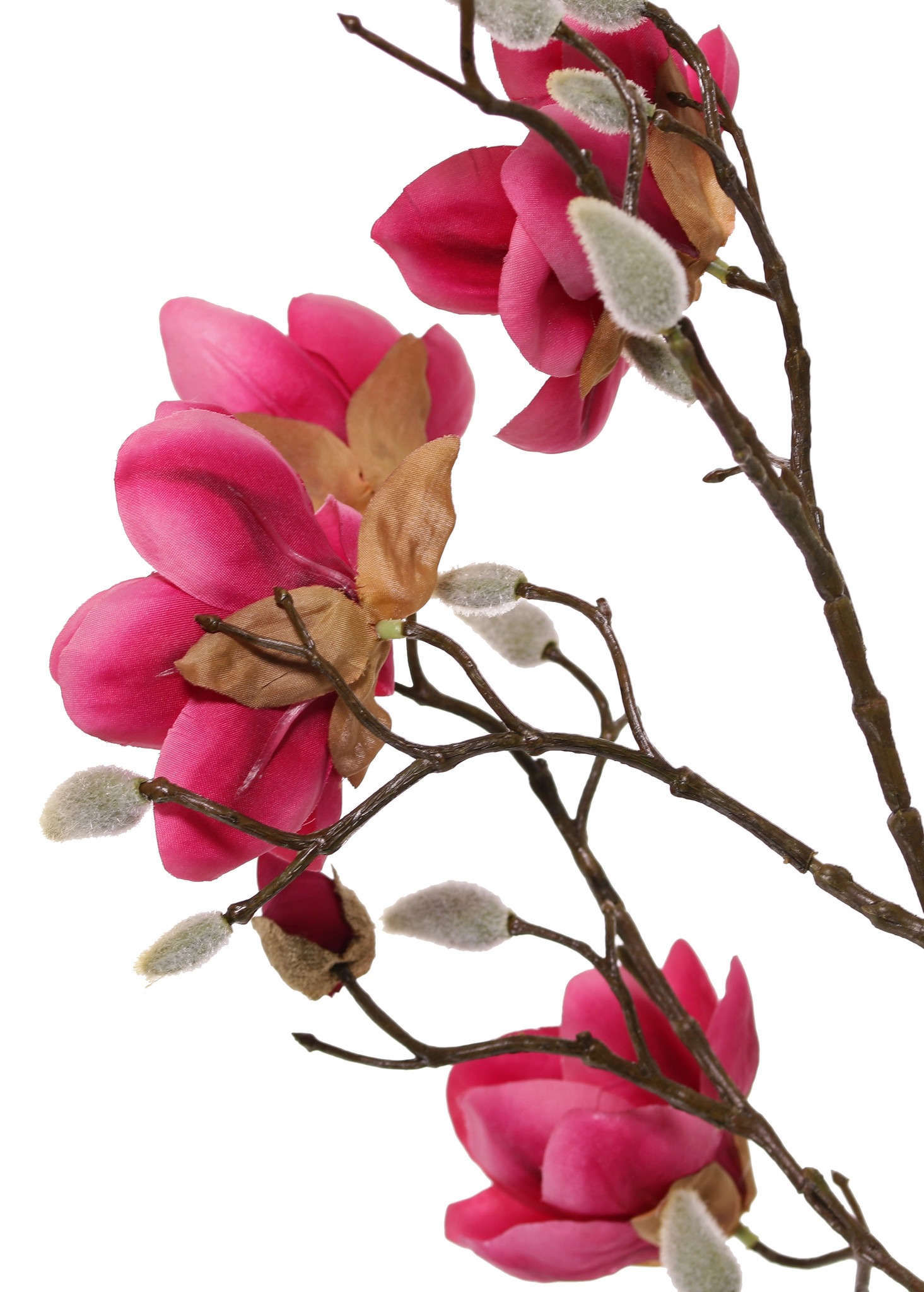 Magnolia, 5 flowers (3x Ø 8cm, 2x 5 cm) & 12 buds, 80 cm